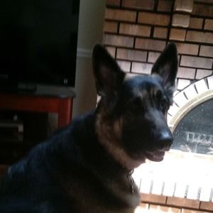 Meet your Posher, Barbara